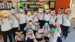 Evrensel Kolej